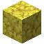Horn Coral Block Icon