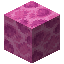 Brain Coral Block Icon