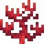 Fire Coral Icon