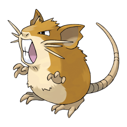 Raticate