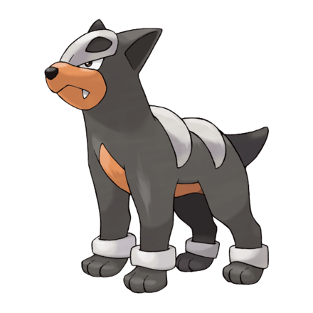 Houndour Image
