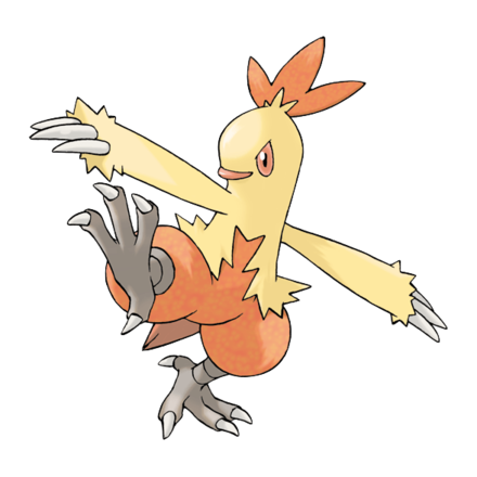 Combusken Image