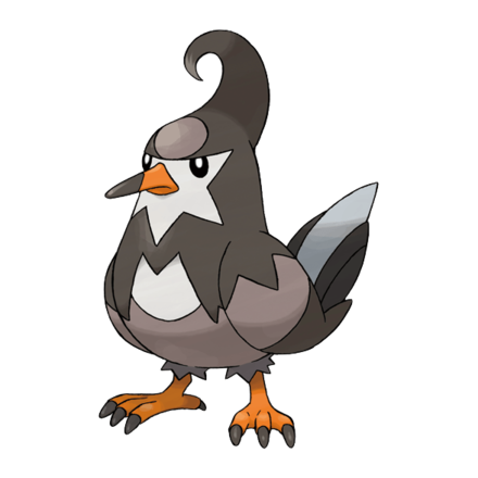Staravia Image