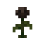 Wither Rose Icon
