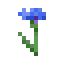 Cornflower Icon