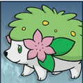 SSBU Shaymin (Land Forme)