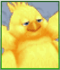 Chubby Chocobo