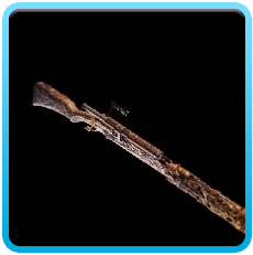 Fading Blossom Bowgun Image