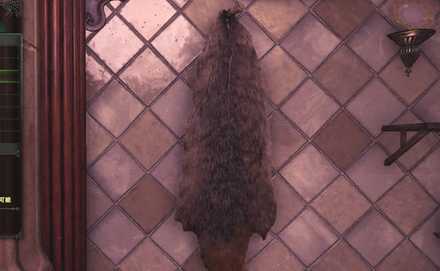 Fur Wall-Hanging Image