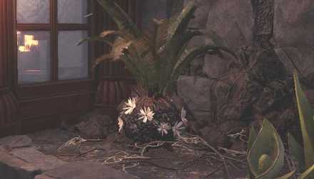 Ancient Forest Plant 5 Image