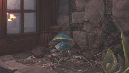 Ancient Forest Plant 4 Image