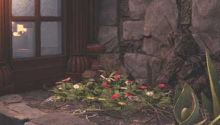 Ancient Forest Plant 3 Image