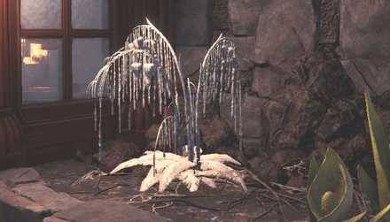 Hoarfrost Reach Plant 3 Image