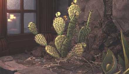 Wildspire Wastes Plant 1 Image