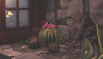 Wildspire Wastes Plant 3 Image