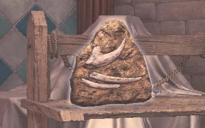 Display Fossil Image