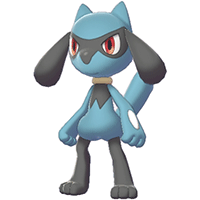 Riolu
