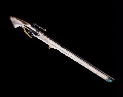 Guild Palace Rifle Bowgun Image