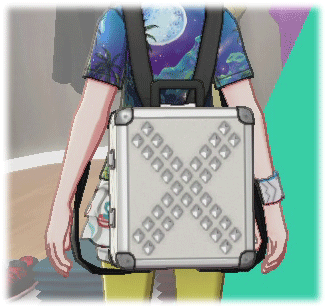 Studded Leather Case