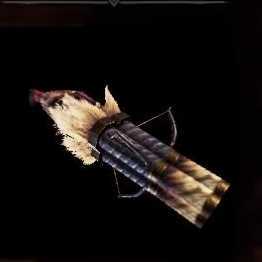 Demonlord Cannon Bowgun Image