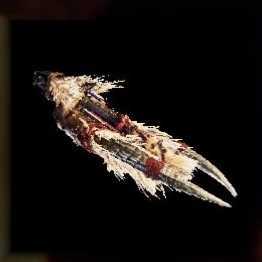 Demonlord Beastbuster Bowgun Image