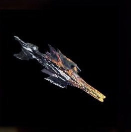 Lightbreak Cannon Bowgun Image