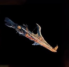 Lightbreak Gun Bowgun Image