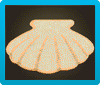 Shell Rug Image