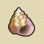 Sea Snail Icon