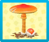 Mush Parasol Image