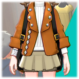 Designer Motorcycle Jacket