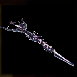 Alatreon Dominator Bowgun Image