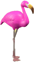 Mr. Flamingo Image