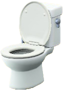 Toilet Image