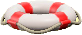 Life Ring Image