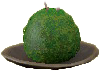 Moss Ball Image