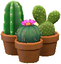 Mini-Cactus Set Image