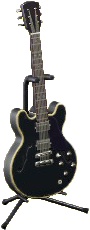 The Cosmo Black version of Electric Guitar