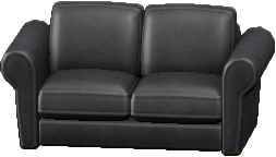 The Black version of Double Sofa