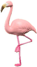 The White version of Mrs. Flamingo
