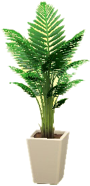 The White version of Fan Palm