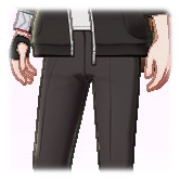 Dress Pants