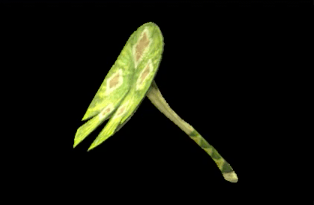 F Slagtoth Leaf Image