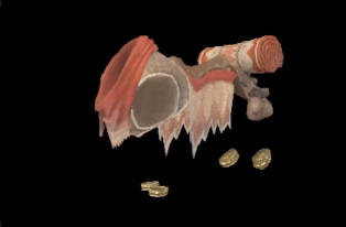 C Kulu-Ya-Ku Garuga Image