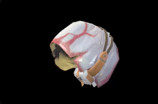 C Khezu Hood X Image