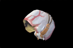 C Khezu Hood S Image