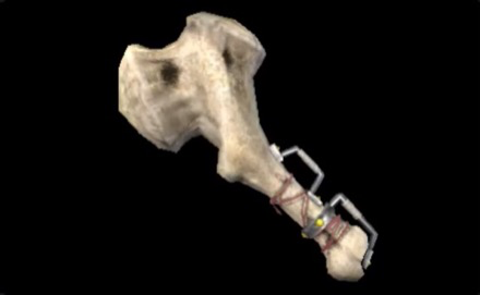 F Bone Hammer S Image