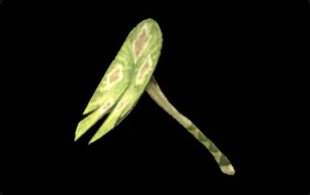 F Slagtoth Leaf X Image