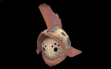 F Jyura Helm X Image