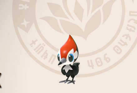 Pikipek